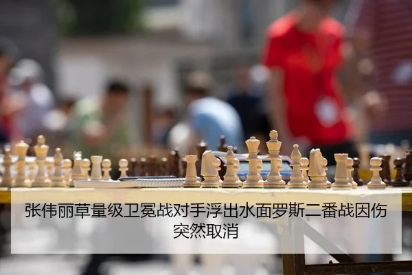 zhang-wei-li-cao-liang-ji-wei-mian-zhan-dui-shou-fu-chu-shui-mian-luo-si-er-fan-zhan-yin-shang-tu-ran-qu-xiao-2-251.jpg